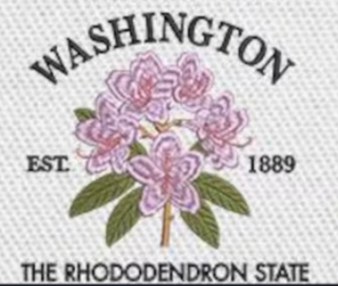 Large Embroidery Knit Bag - State Flower