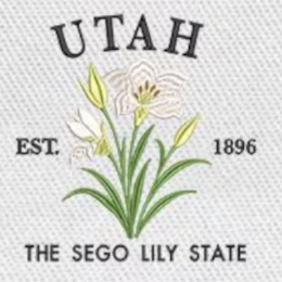 Large Embroidery Knit Bag - State Flower